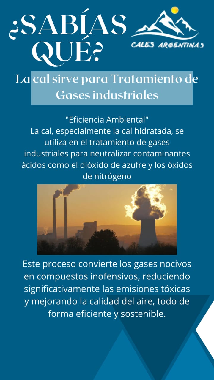 Cales Argentinas - Slide 4